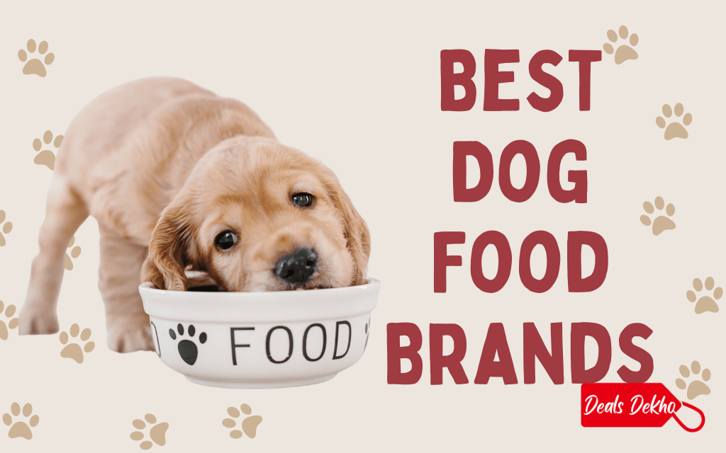 Best Dog Food Brands