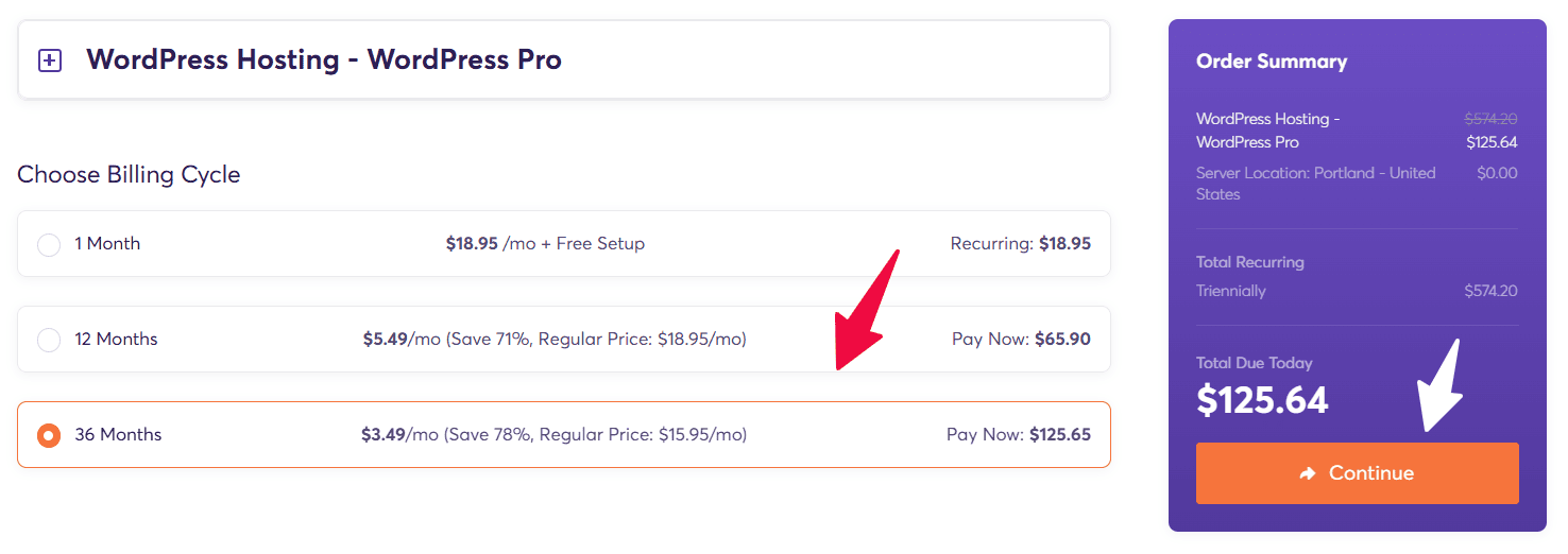 ChemiCloud checkout page and order summary - DealsDekho ChemiCloud checkout page and order summary